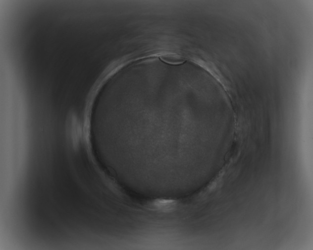 X0000101120055200807101552