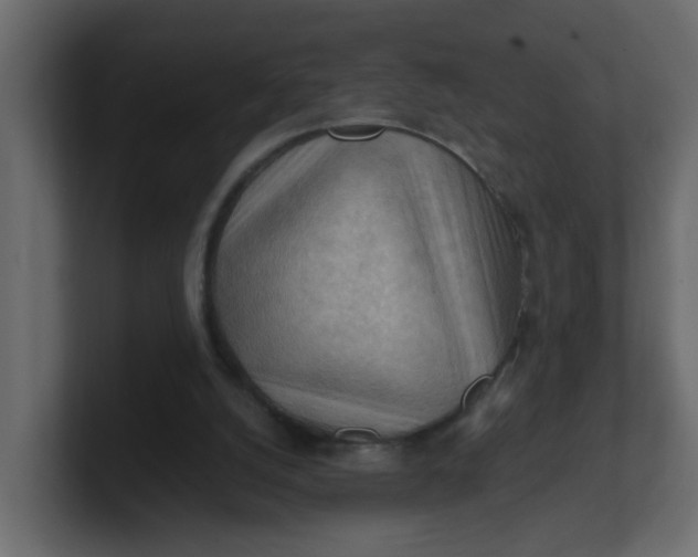 X0000101120056200807101552