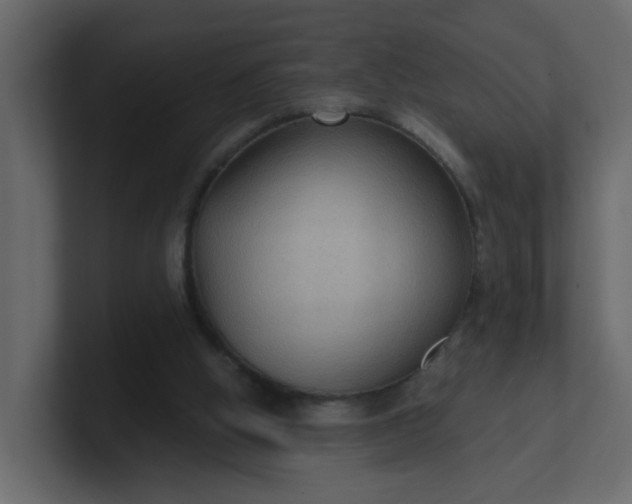 X0000101120058200807101552