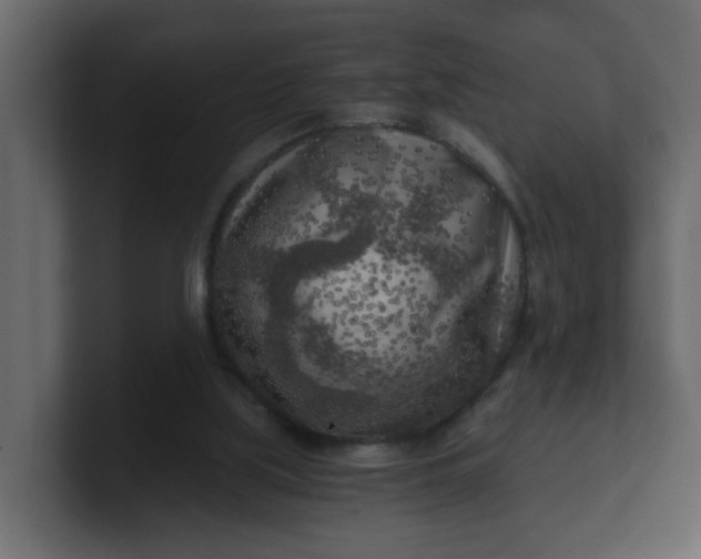 X0000101120059200807101552