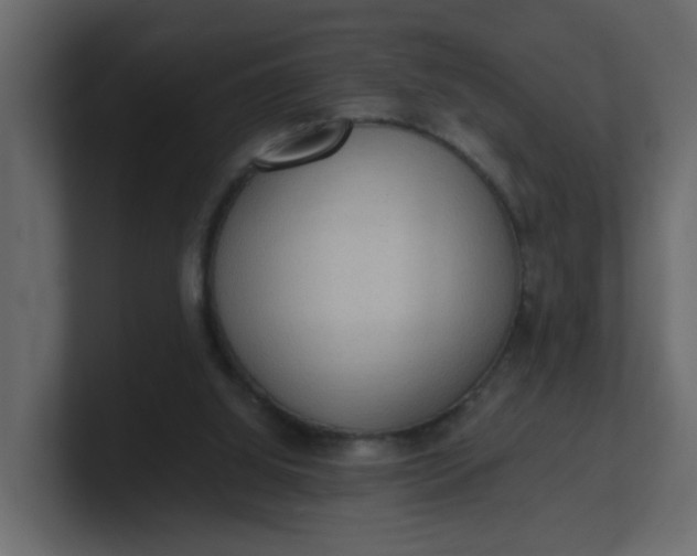 X0000101120060200807101552