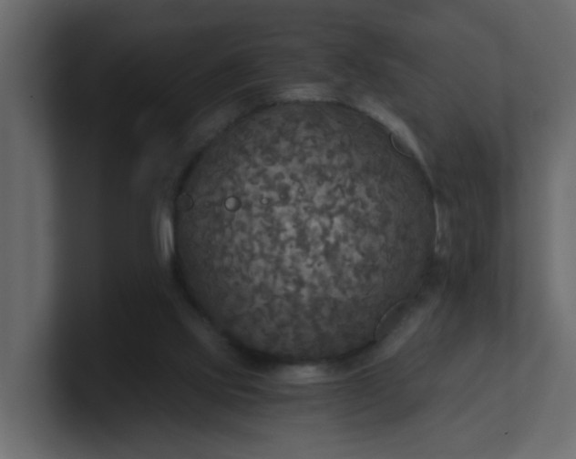 X0000101120061200807101552