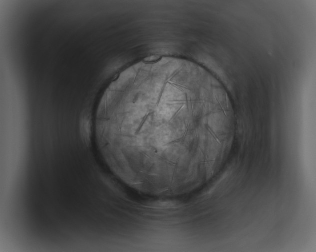 X0000101120063200807101552