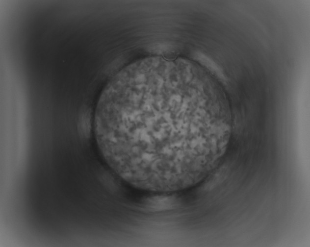 X0000101120065200807101552