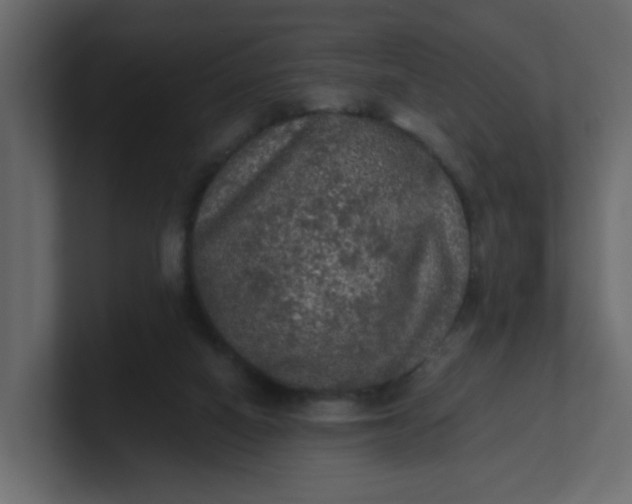 X0000101120066200807101552