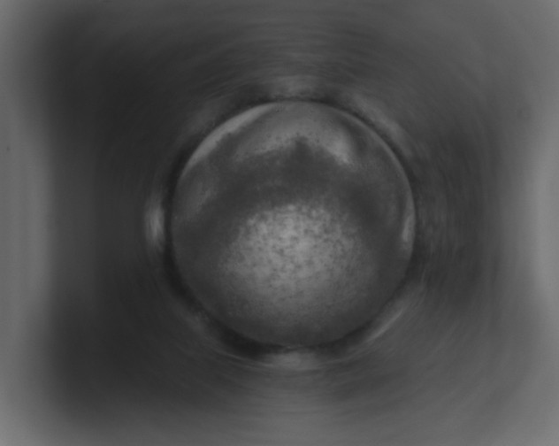 X0000101120067200807101552