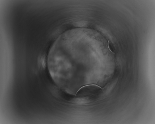 X0000101120069200807101552