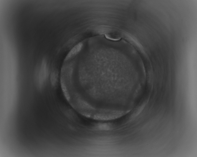X0000101120073200807101552