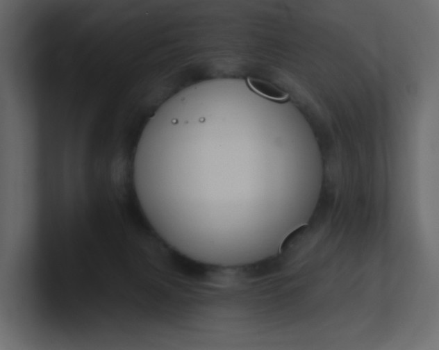 X0000101120079200807101552