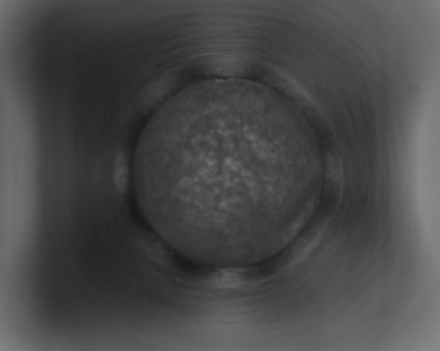 X0000101120080200807101552