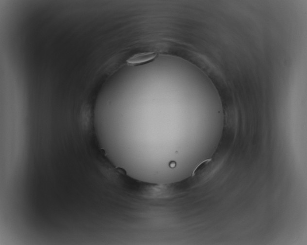 X0000101120092200807101552