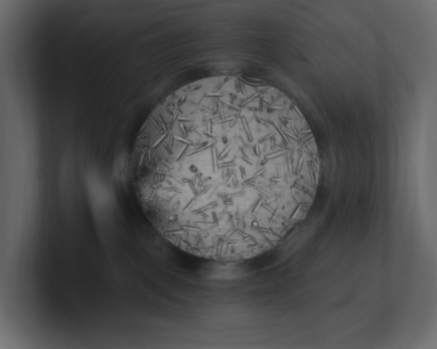 X0000101120093200807101552