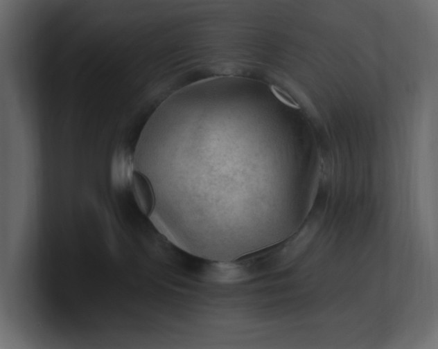 X0000101120095200807101552