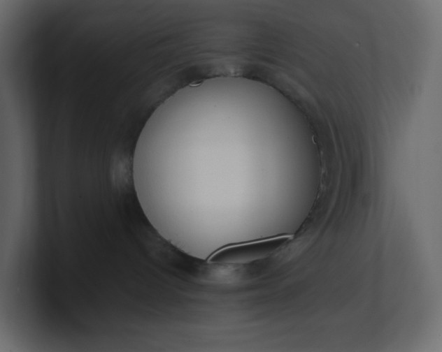 X0000101120096200807101552