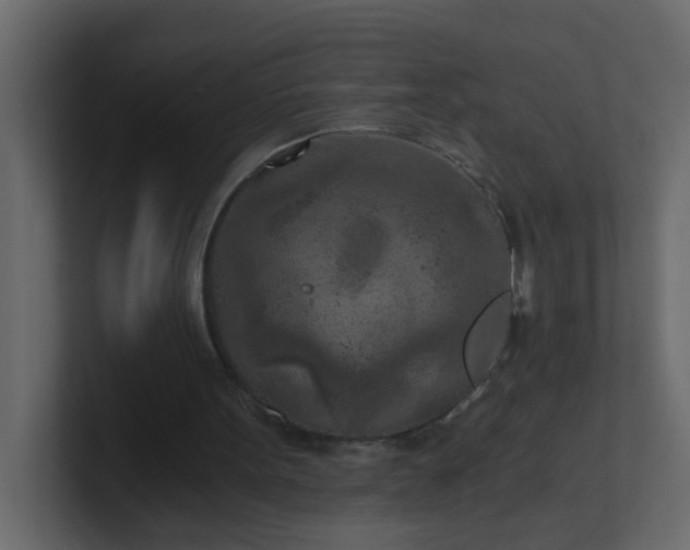X0000101120099200807101552