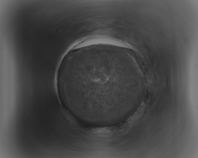 X0000101120100200807101552