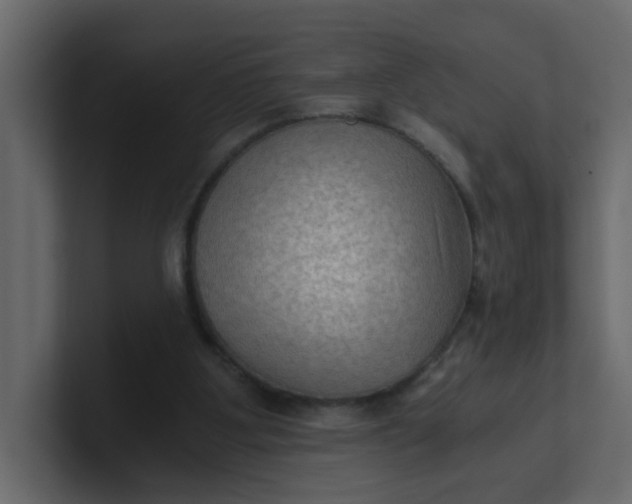 X0000101120107200807101552