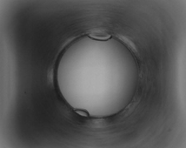 X0000101120108200807101552