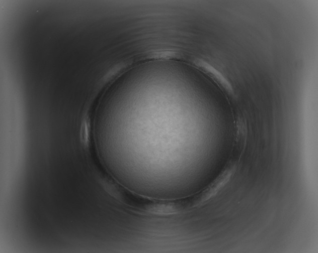 X0000101120110200807101551