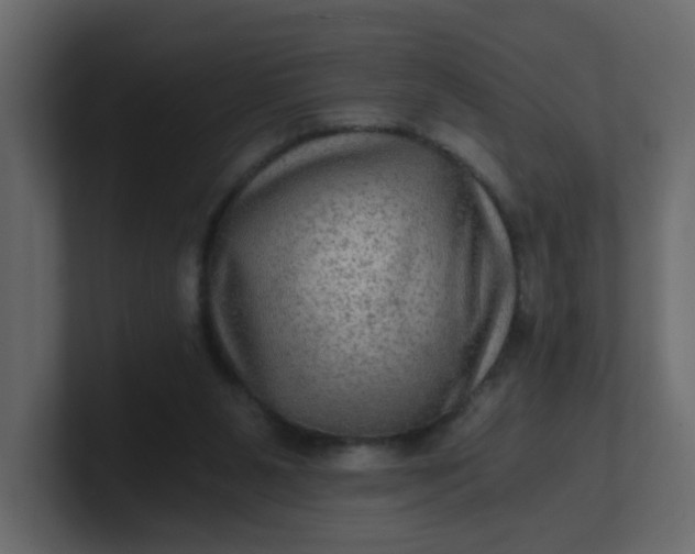 X0000101120111200807101551