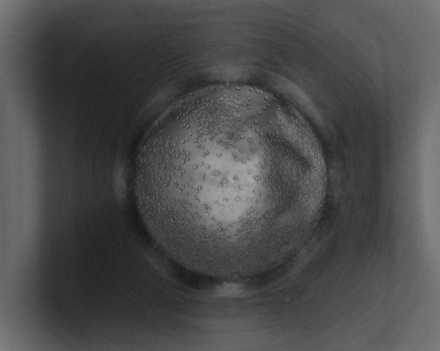 X0000101120114200807101551