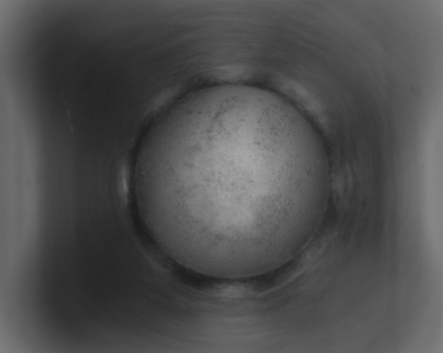 X0000101120115200807101551