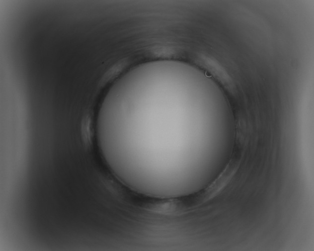 X0000101120116200807101551