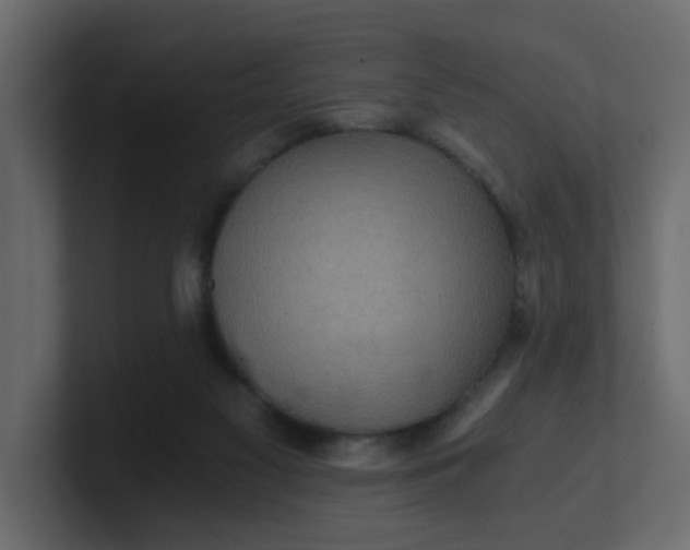 X0000101120117200807101551