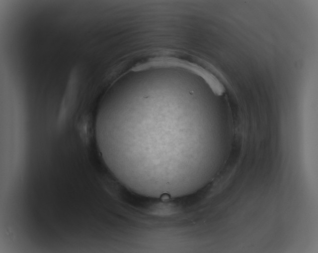 X0000101120119200807101551