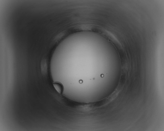 X0000101120120200807101551