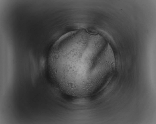 X0000101120123200807101551