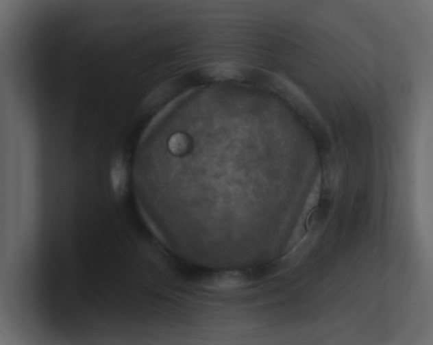 X0000101120124200807101551