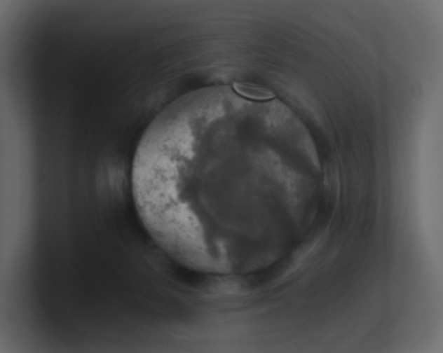 X0000101120127200807101551