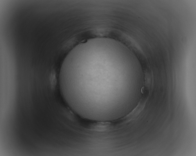 X0000101120128200807101551