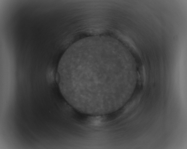 X0000101120131200807101551