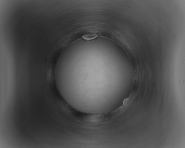 X0000101120136200807101551