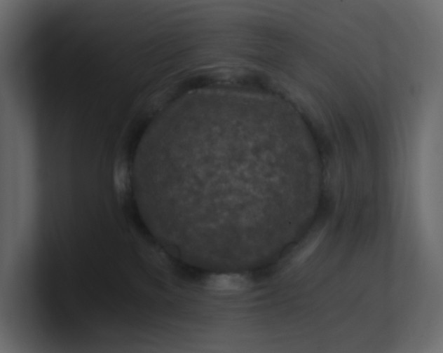 X0000101120137200807101551