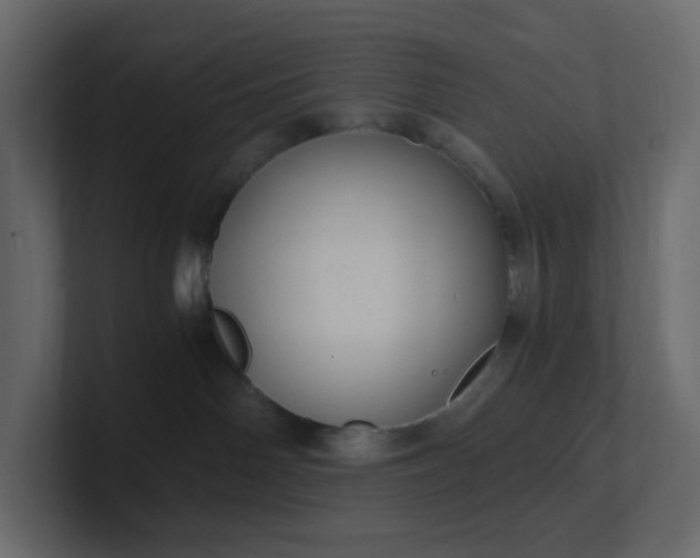 X0000101120142200807101551