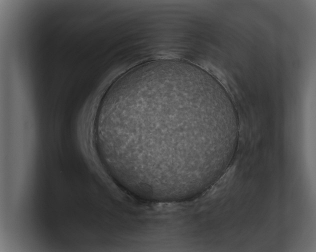 X0000101120145200807101550