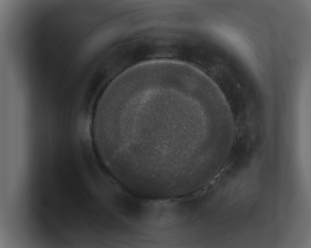 X0000101120146200807101550