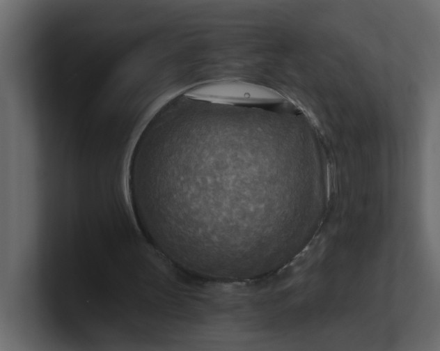X0000101120147200807101550