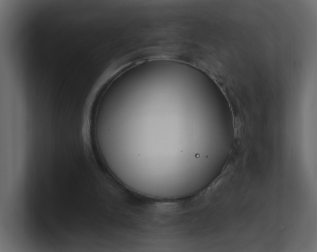 X0000101120150200807101550