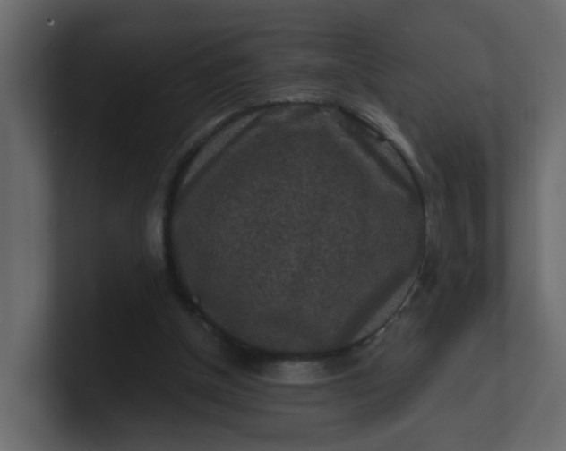 X0000101120154200807101550