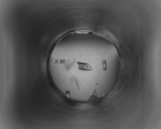 X0000101120155200807101550