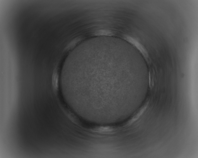 X0000101120157200807101550