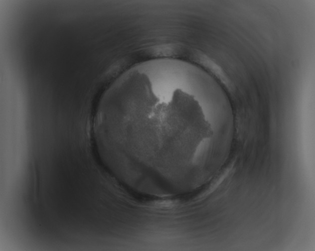 X0000101120161200807101551