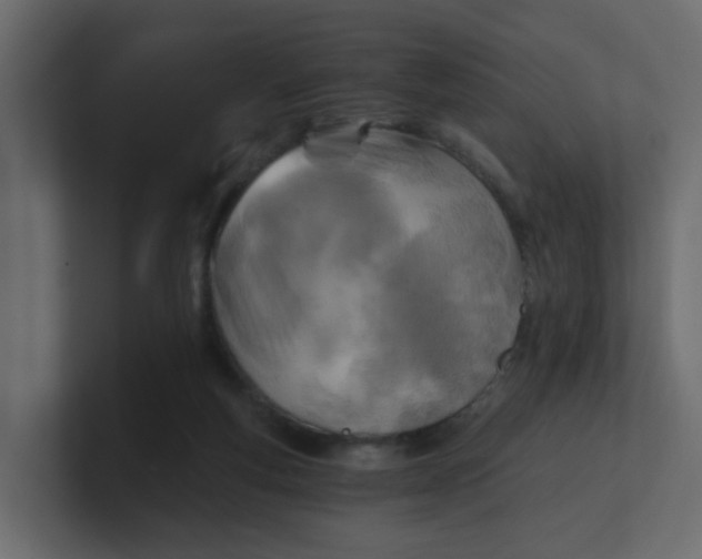 X0000101120163200807101551