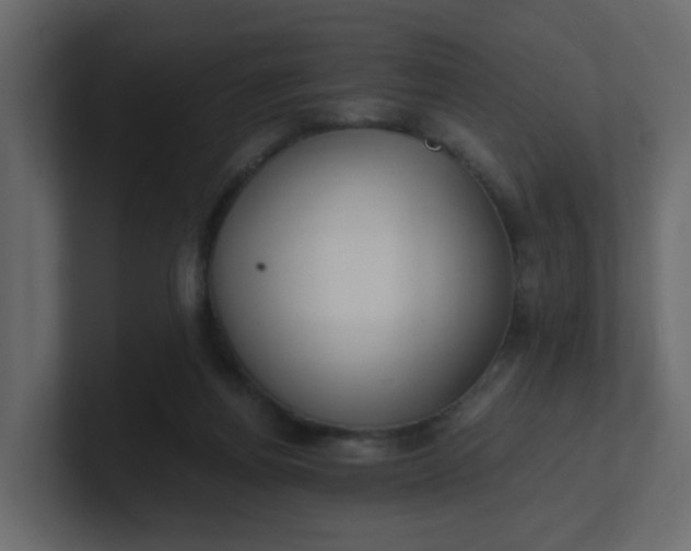 X0000101120164200807101551