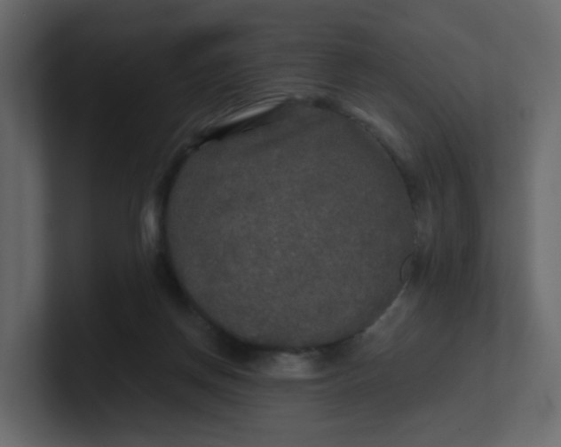 X0000101120166200807101551