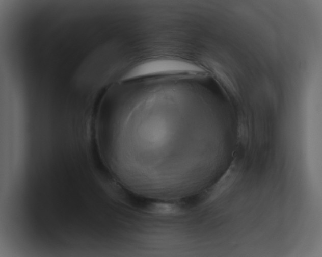 X0000101120167200807101551